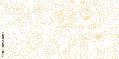 Topographic map background with geographic grid for hiking and mountain sport. luxury topographic wavy pattern and geographic grid map design. paper texture Imitation of a geographical map shades.