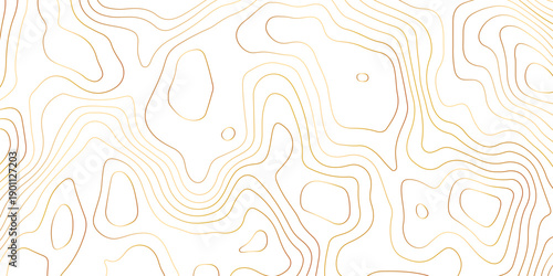 Topographic map background with geographic grid for hiking and mountain sport. luxury topographic wavy pattern and geographic grid map design. paper texture Imitation of a geographical map shades.