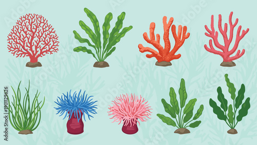 Marine life coral reef set features various types of colorful sea plants, anemones, and coral branches in vibrant shades on light blue.
