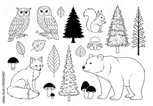 Hand drawn line art woodland animals and nature elements set featuring forest inhabitants and botanical elements for nature and wildlife designs