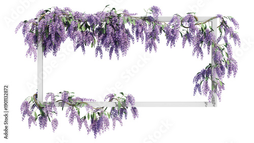 Fényképezés Wisteria Flowers Blooming, Purple Floral Nature Background