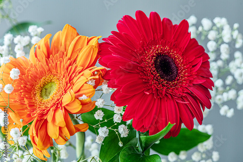 floral background of red and orange gerbera flowers close up shallow depth of field