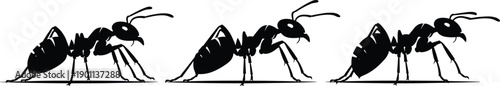 Black ant silhouettes set in a row for pest control concepts colony teamwork themes nature education and minimalist insect wildlife vector graphic designs,
