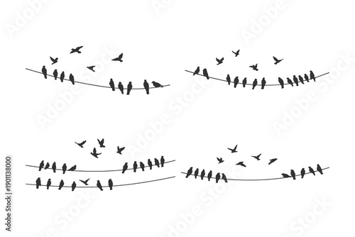 Set of Birds Silhouettes Perching and Flying Near Power Lines in a Minimalist Graphic Style Black and White Vector Illustration