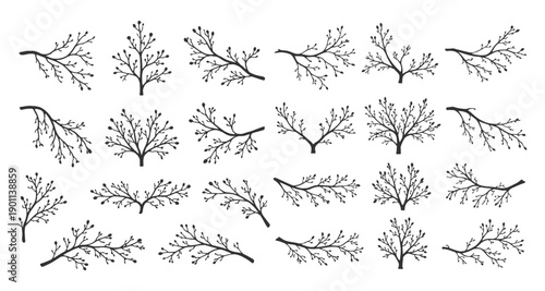 Collection of Minimalist Bare Tree Branches and Twigs Silhouettes in Hand Drawn Fine Line Art Style Black and White Vector Illustration
