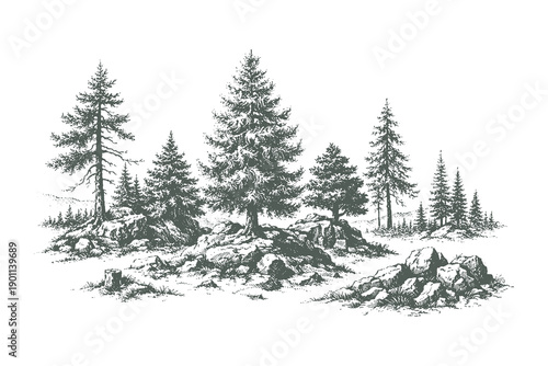 Minimalist Pine Trees Growing Among Rocks and Stones in a Highland Wilderness Landscape Detailed Line Art Style Black and White Vector Illustration