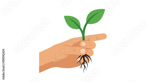 Human hand gently holding a small green plant sprout with roots, symbolizing growth, new life, and nature cultivation on an isolated white background.