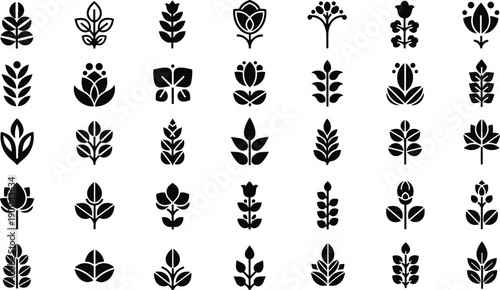 Collection of black and white botanical leaf and flower arranged in a grid pattern