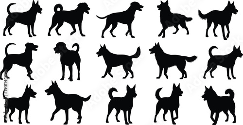Silhouettes of various dog breeds standing on white background black