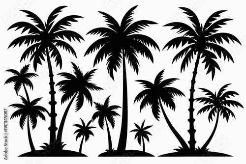 Black palm tree silhouette set in different tropical shapes, coconut trees