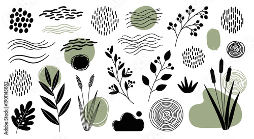 A collection of abstract organic shapes, botanical elements, and natural textures in a minimalist style.