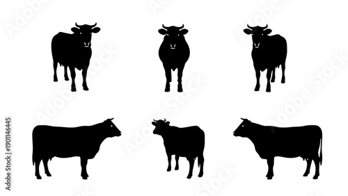 Cow silhouettes set, cattle black icons in various poses.