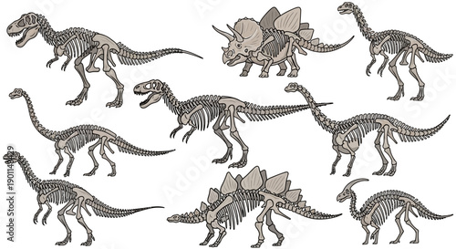 A collection of detailed skeletal illustrations of various dinosaur species, showcasing their anatomical structures.