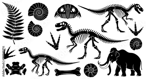 Collection of black and white illustrations depicting dinosaur skeletons, prehistoric mammals, fossils, and plant imprints.
