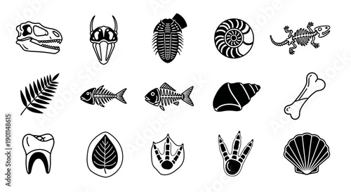 A collection of black and white illustrations of various fossils and prehistoric artifacts, including dinosaur skulls, fish skeletons, shells, and plant imprints.
