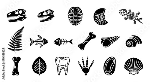 Collection of black and white icons representing various fossils and prehistoric elements, including dinosaur skulls, trilobites, ammonites, bones, teeth, and plant imprints.