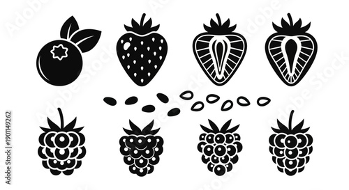 A collection of stylized black and white icons representing various berries and seeds, including blueberries, strawberries, raspberries, and seeds.
