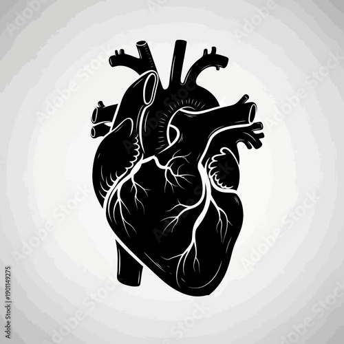A striking black and white illustration of a human heart, showcasing its intricate anatomical details against a subtle gradient background.