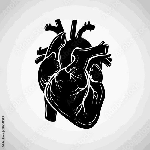 A striking black and white illustration of a human heart, showcasing its intricate anatomical details against a subtle gradient background.