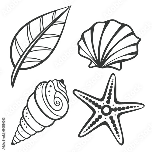 Four black and white line of a leaf, scallop shell, conch shell, and starfish line leaf
