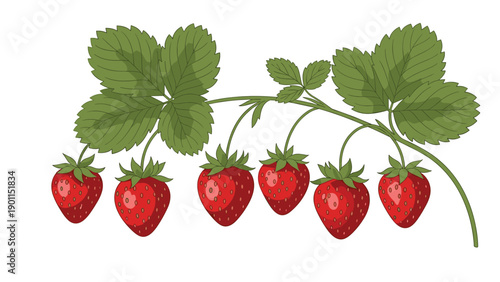 Vibrant illustration of a strawberry plant branch with ripe red strawberries and lush green leaves, depicting fresh organic fruit.