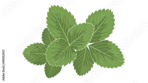 Vibrant cluster of fresh green strawberry leaves, showcasing their natural texture and healthy, organic appeal, perfect for botanical themes.