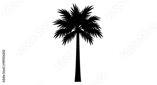 Palm Tree Silhouette Isolated on White Background