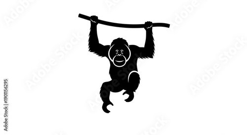 Gorilla Hanging on Bar with Sad Face Isolated on White