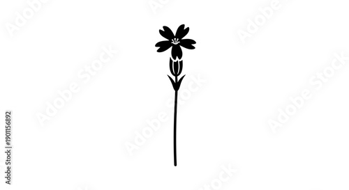 Black Silhouette Flower Isolated on White Background