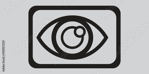Eye Scan and Biometric Recognition Icon,