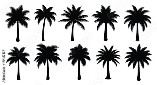 Collection of diverse black palm tree silhouettes, showcasing various shapes and sizes, perfect for tropical, desert, or exotic landscape designs on a white background.