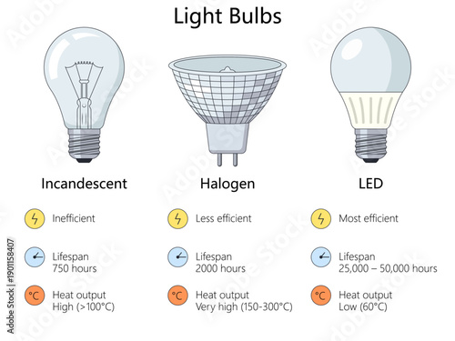 light bulbs by efficiency, lifespan, and heat output: incandescent, halogen, and modern LED technology diagram hand drawn schematic vector. Science educational illustration