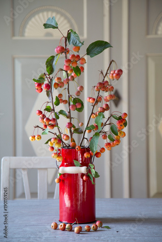 Zweig mit roten Zieräpfeln (Malus) in einer roten Vase aus Emaille vor einem grau-weißen Schrank.