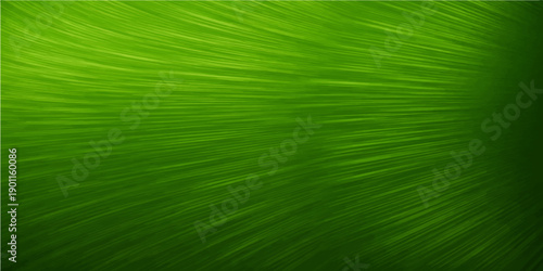 A vibrant green leaf texture reveals an organic abstract nature background featuring a macro closeup of fresh plant foliage with bright summer light and a detailed natural garden pattern