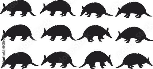 Armadillo silhouette set showing walking and standing poses, wild animal shapes, wildlife illustration, isolated black vector collection for design use