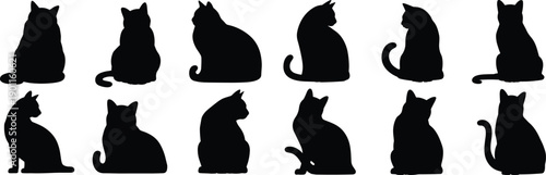 Cat silhouette set showing sitting and side view poses, domestic pet shapes, animal illustration, isolated black vector collection for design use