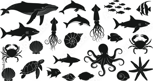 Marine animal silhouettes collection with whale shark dolphin octopus fish shells and sea creatures, black ocean wildlife vector icon set