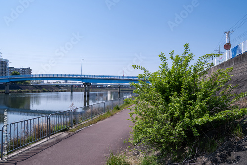川岸の茂みと青い橋が見える河川敷の散歩道