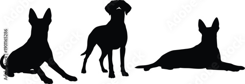 Dog silhouettes set showing sitting, standing, and lying down canine poses, black dog figures isolated on white background