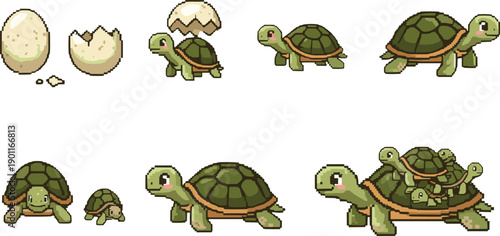 Pixel Art Turtle Life Cycle Set With Egg Hatching Baby And Adult Tortoise Sprites In Retro Game Style
