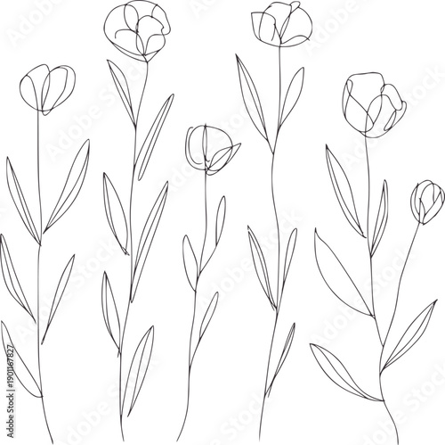 Minimalist black and botanical of various stylized flowers and stems