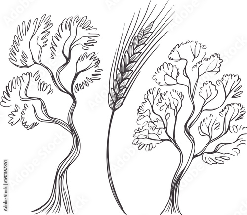 Minimalist black and ink of dill fern and wheat stalk