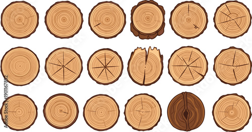Tree Trunk Cross Section Set With Annual Rings Cracks And Bark Edges In Detailed Cartoon Vector Illustration