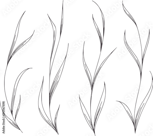 Minimalist black and ink of slender grass blades in various curves