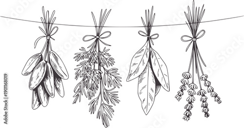 Minimalist black and of hanging dried herb bundles herbs
