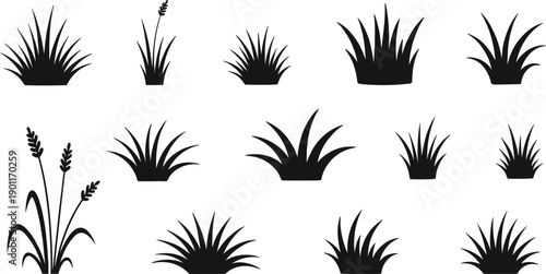 Black silhouette set of various grass tufts lawn patches and wild reeds for landscape design architectural visualization and nature border elements.