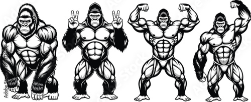 Black And White Vector Illustration Set Of Powerful Muscular Gorillas Posing Showing Biceps And Peace Sign For Fitness Gym Mascot Branding And Strength Training