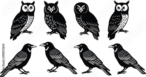 Owl and crow bird silhouette set, black and white wildlife vector collection, detailed nocturnal and raven illustrations for nature, tattoo, logo designs