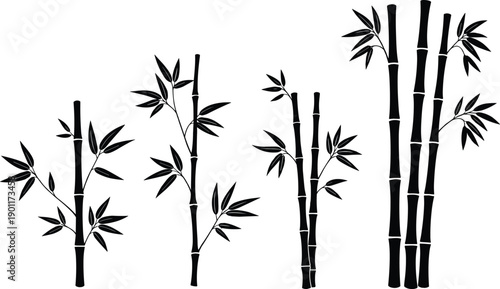  Bamboo plant silhouette illustration set, natural Asian bamboo stalks with leaves, minimal black vector elements for zen design, nature decor, and eco themes