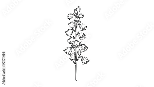 Elegant outline drawing of a lily of the valley plant with delicate bell-shaped flowers and buds, symbolizing spring and purity.